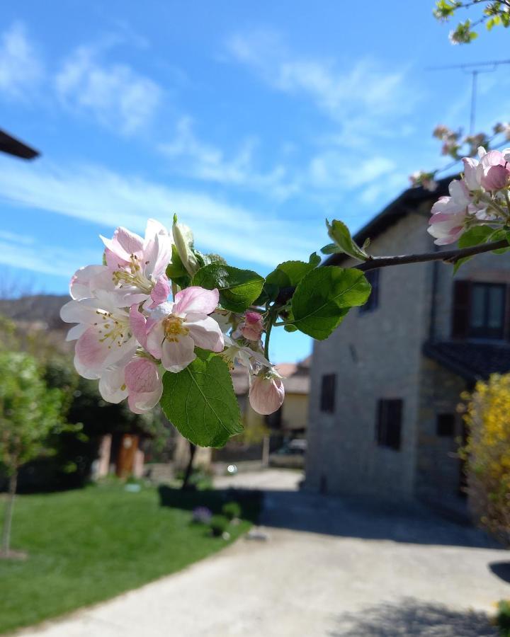 La Pomella Villa Ponte Nizza Kültér fotó