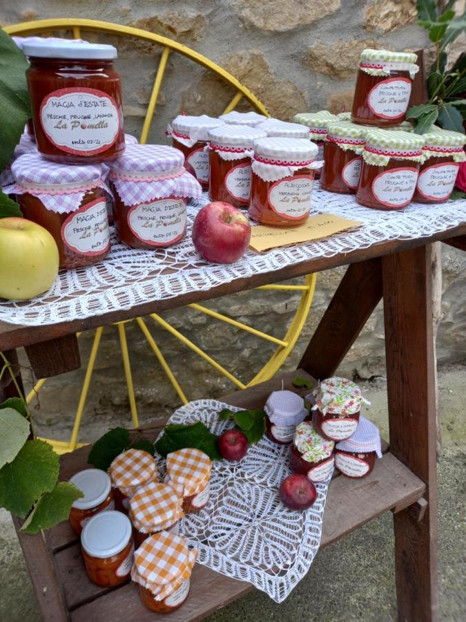 La Pomella Villa Ponte Nizza Kültér fotó